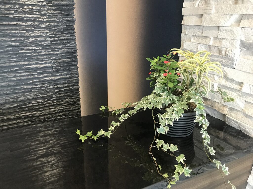 観葉寄せ植え1