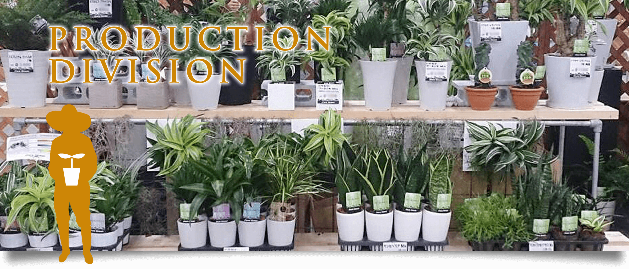 Production Division｜YAMADA NURSERIES,INC.